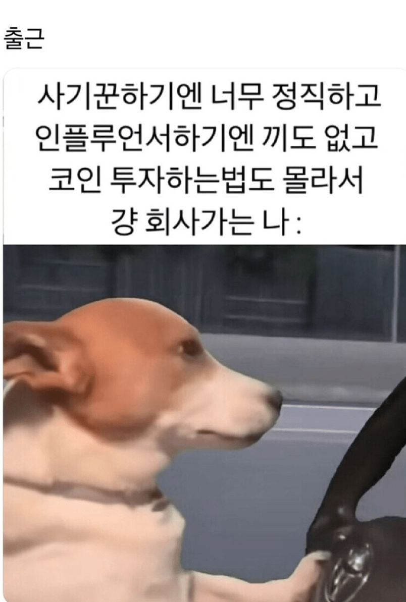 239054602_2dHyvpRY_e3d1e185073988c5db09f2364c16e62d346467b3.jpeg